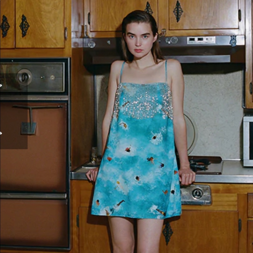 ISO!! Rachel Antonoff short swimmer print dress and/or shorts and shirt set